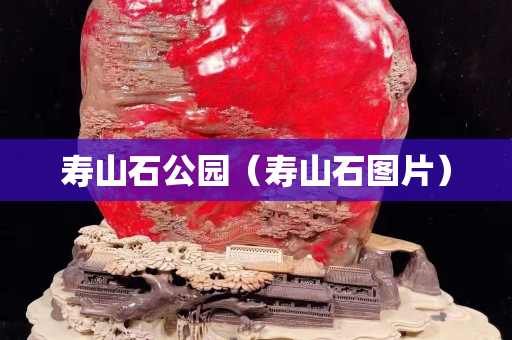 寿山石公园（寿山石图片）