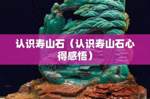 认识寿山石（认识寿山石心得感悟）