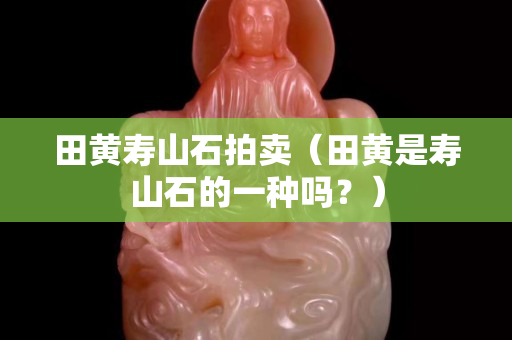 田黄寿山石拍卖（田黄是寿山石的一种吗？）