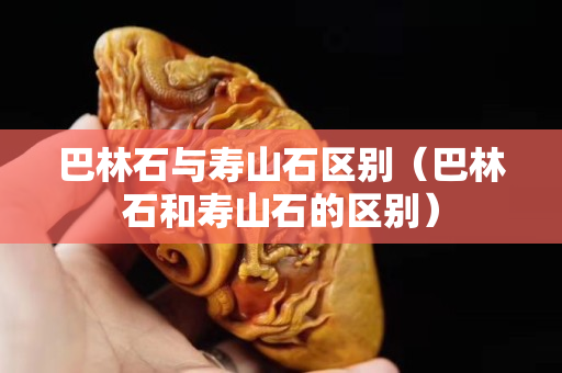 巴林石与寿山石区别（巴林石和寿山石的区别）