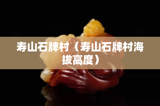 寿山石牌村（寿山石牌村海拔高度）