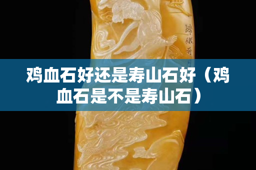鸡血石好还是寿山石好（鸡血石是不是寿山石）