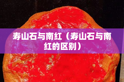 寿山石与南红（寿山石与南红的区别）