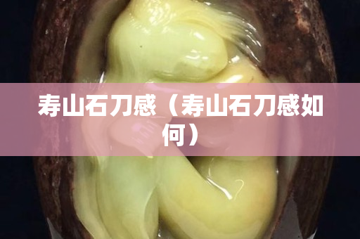 寿山石刀感（寿山石刀感如何）