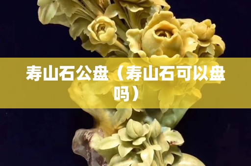 寿山石公盘（寿山石可以盘吗）