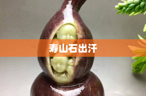 寿山石出汗
