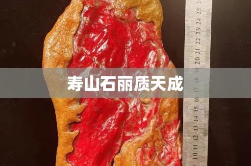 寿山石丽质天成