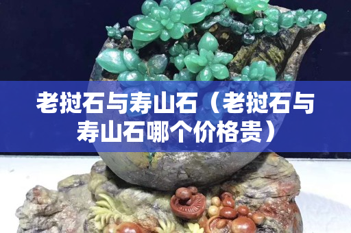 老挝石与寿山石（老挝石与寿山石哪个价格贵）