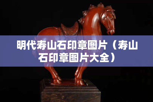 明代寿山石印章图片（寿山石印章图片大全）