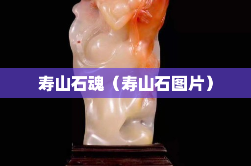 寿山石魂（寿山石图片）