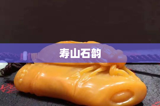 寿山石韵