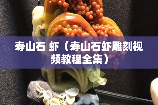 寿山石 虾（寿山石虾雕刻视频教程全集）