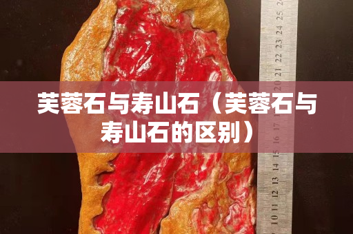 芙蓉石与寿山石（芙蓉石与寿山石的区别）