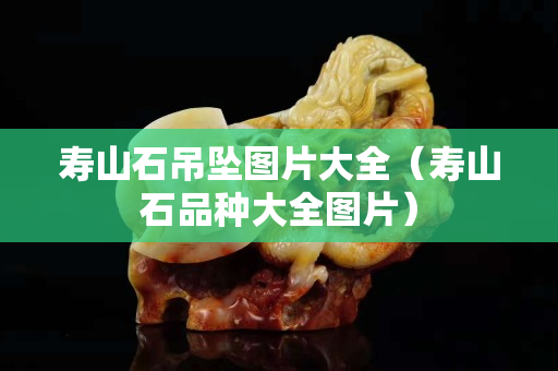 寿山石吊坠图片大全（寿山石品种大全图片）