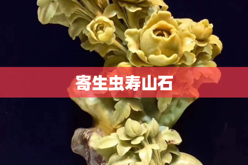 寄生虫寿山石