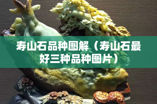 寿山石品种图解（寿山石最好三种品种图片）