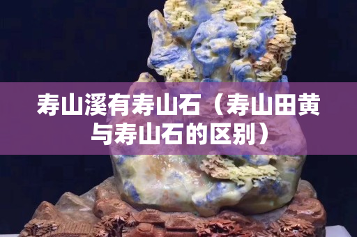寿山溪有寿山石（寿山田黄与寿山石的区别）