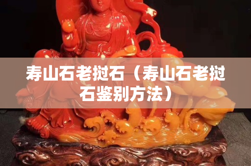 寿山石老挝石（寿山石老挝石鉴别方法）