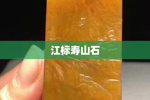 江标寿山石