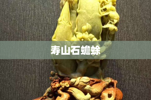 寿山石蟾蜍