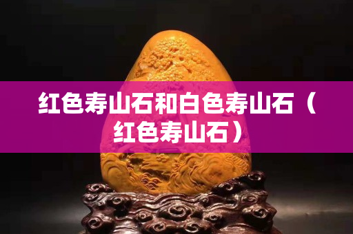 红色寿山石和白色寿山石（红色寿山石）