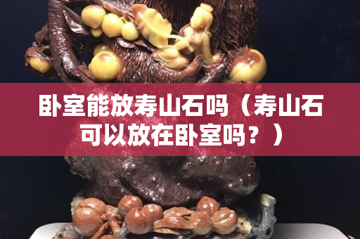 卧室能放寿山石吗（寿山石可以放在卧室吗？）
