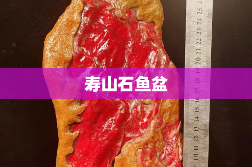 寿山石鱼盆