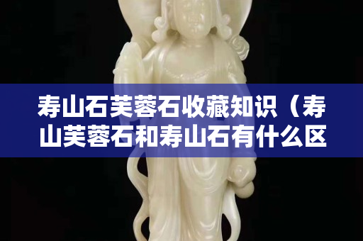 寿山石芙蓉石收藏知识（寿山芙蓉石和寿山石有什么区别）