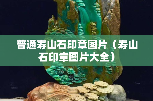 普通寿山石印章图片（寿山石印章图片大全）