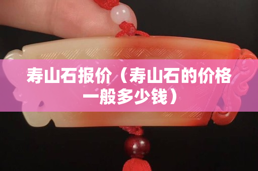 寿山石报价（寿山石的价格一般多少钱）