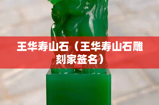 王华寿山石（王华寿山石雕刻家签名）