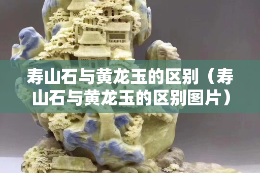 寿山石与黄龙玉的区别（寿山石与黄龙玉的区别图片）