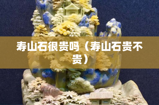 寿山石很贵吗（寿山石贵不贵）