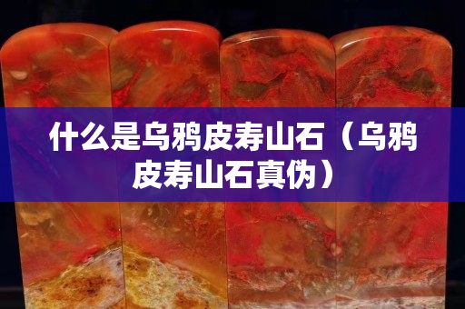 什么是乌鸦皮寿山石（乌鸦皮寿山石真伪）