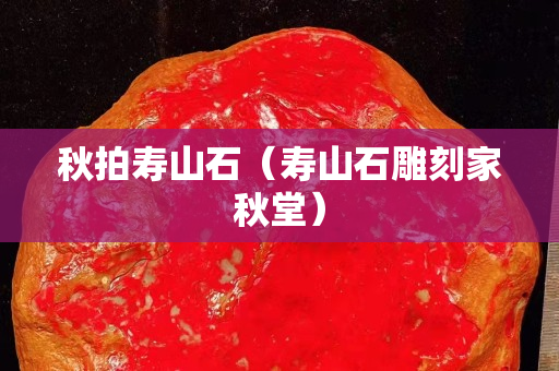 秋拍寿山石（寿山石雕刻家秋堂）