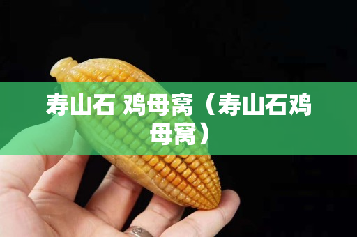 寿山石 鸡母窝（寿山石鸡母窝）