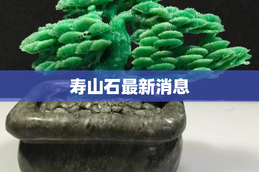 寿山石最新消息