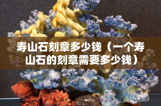 寿山石刻章多少钱（一个寿山石的刻章需要多少钱）