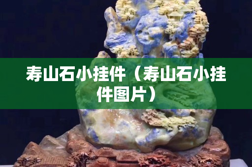 寿山石小挂件（寿山石小挂件图片）