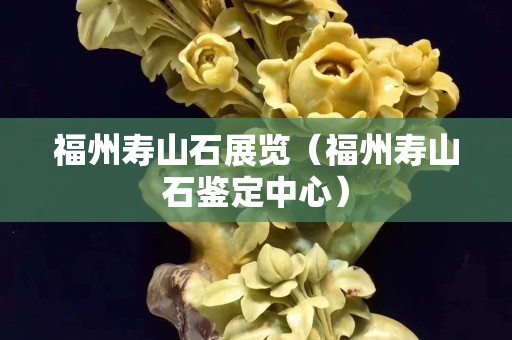 福州寿山石展览（福州寿山石鉴定中心）