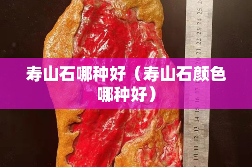寿山石哪种好（寿山石颜色哪种好）