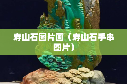 寿山石图片画（寿山石手串图片）