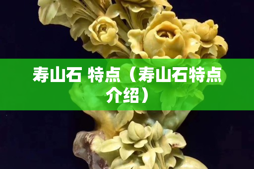 寿山石 特点（寿山石特点介绍）