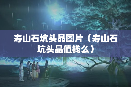 寿山石坑头晶图片（寿山石坑头晶值钱么）