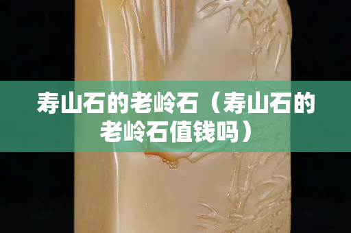 寿山石的老岭石（寿山石的老岭石值钱吗）