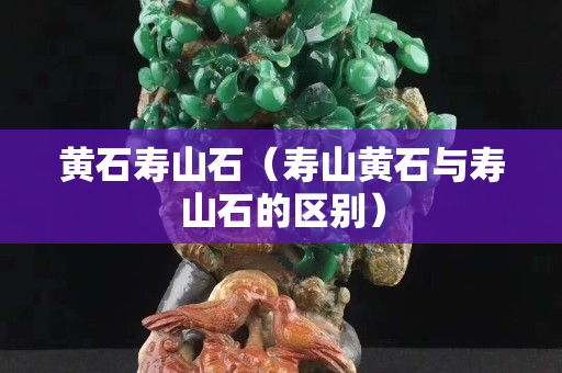 黄石寿山石（寿山黄石与寿山石的区别）
