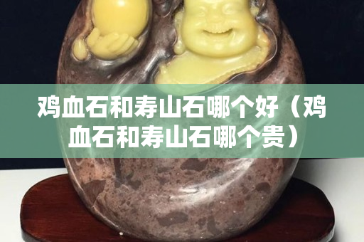 鸡血石和寿山石哪个好（鸡血石和寿山石哪个贵）