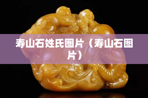寿山石姓氏图片（寿山石图片）
