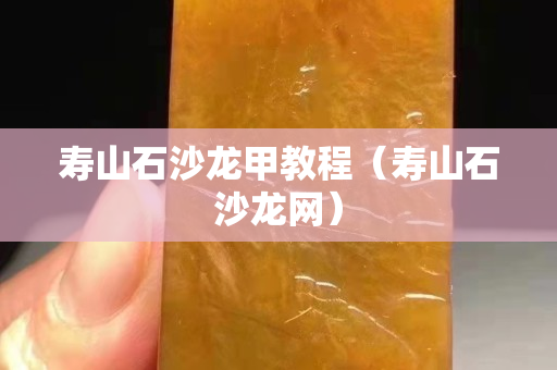 寿山石沙龙甲教程（寿山石沙龙网）