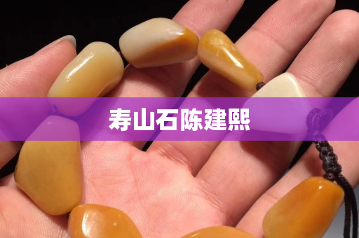 寿山石陈建熙